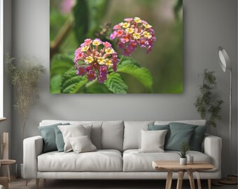Lantana flowers photo, floral canvas art, new home present, interior designer idea, home office decor, garden flowers photo, holiday picks