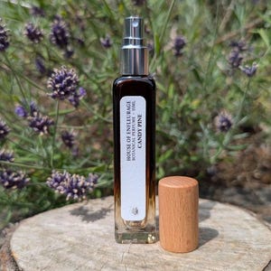 Candy Pine Botanical Perfume – Sweet Forest Eau de Parfum – Natural Conifer & Vanilla Fragrance – Plant-Based Perfume – 10mL or 15mL Spray
