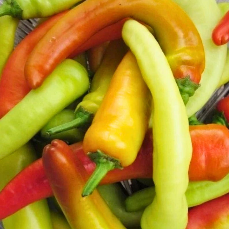 300 Hungarian Hot Wax Pepper Seeds – Heirloom Hot Pepper – Yellow to ...