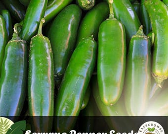 10 serranopeperzaden: hete chili, gemakkelijk te kweken, productieve tuinplanten