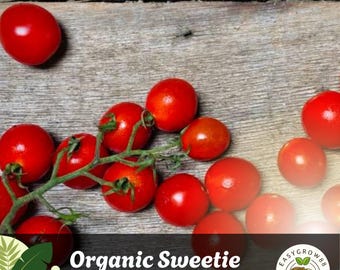30 Sweetie Cherry Tomato Seeds: Organic Heirloom, USA-Grown Easy Grow