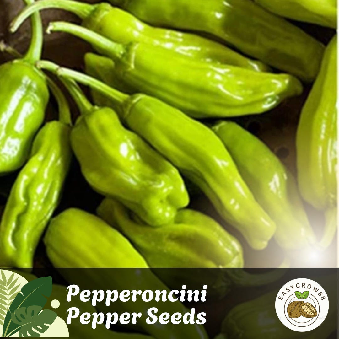 40 Pepperoncini Pepper Seeds: Italian Heirloom, Mild & Sweet Easy Grow ...
