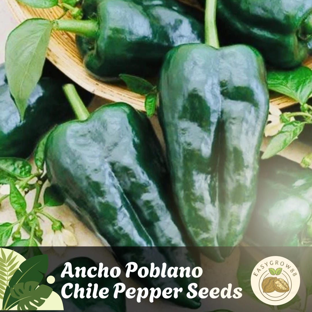 Ancho Pepper Seeds
