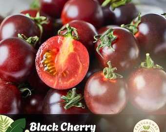 30 semi di pomodoro ciliegino nero: varietà antica e dolce da insalata