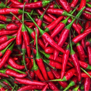 Könnte beinhalten: Nahaufnahme eines Haufens leuchtend roter Chilischoten mit grünen Stielen. Die Paprika sind dicht gepackt und zeigen ihre glatte, glänzende Haut und ihre schlanke, spitz zulaufende Form. Das Bild zeigt die frischen, natürlichen Produkte.
