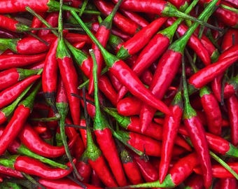 30 Thai Hot Pepper Seeds Heirloom Non GMO Chili Pepper Seeds Spicy Vegetable Garden Seeds for Pots and Containers