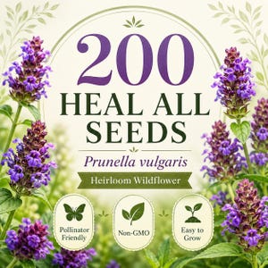 200 zaden van Heal All | Prunella vulgaris erfgoed wilde bloemzaden | Bijvriendelijk | Niet-GMO | Gemakkelijk te kweken
