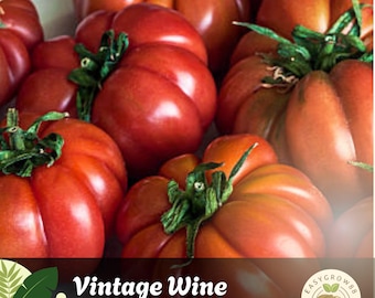 30 Vintage Wine Tomato Seeds Heirloom, Non-GMO, Striped Beefsteak Variety
