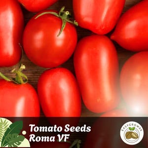 150 Roma VF Tomato Seeds: Heirloom, Non-GMO, Sauce & Canning Easy Grow