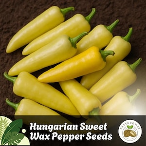 75 Hungarian Sweet Wax Pepper Seeds Mild Flavor Heirloom Non-GMO Productive Garden Variety for Fresh & Pickled Use