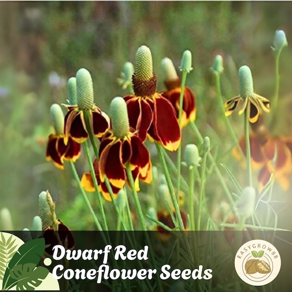 peat plant pots 13cm Coir Plant Pots – 100% Biodegradable Pots & Peat-Free 1L | Ideal for  Sowing & Growing | CoirProducts main image 1