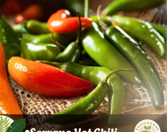 50 semi di peperoncino Serrano: varietà antica non OGM