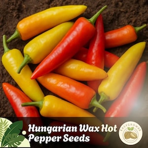 50 Hungarian Wax Hot Pepper Seeds Heirloom, Non-GMO, Medium-Hot Chili Peppers