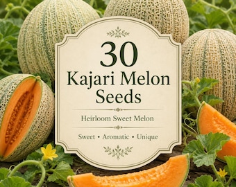30 nasion melona Kajari | Odmiana melona indyjskiego bez GMO | Słodkie, prążkowane owoce | Wyjątkowe nasiona melona ogrodowego do uprawy w domu