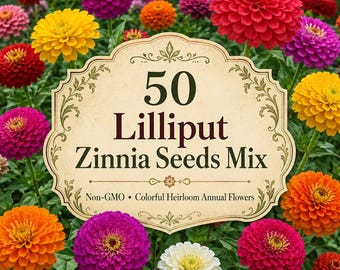 50 nasion cynii lilliput mix | Kolorowe, tradycyjne kwiaty jednoroczne bez GMO | Łatwe w uprawie nasiona kwiatów ogrodowych | Kwiaty cięte i zapylające do ogrodu