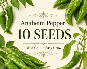 10 semi di peperoncino Anaheim / Peperoncino delicato / Varietà per ripieno dolce / Semi antichi non OGM / Facili da coltivare