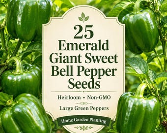 25 Emerald Giant Sweet Bell Pepper Seeds, Heirloom Non-GMO Large Green Peppers, Sweet Pepper Vegetable Seeds for Home Garden