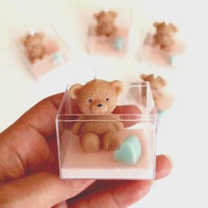 Baby Gender Reveal Custom Party Favor | Personalized Baby Shower Keepsake | Teddy Bear First Birthday Gift | Baptism Gift