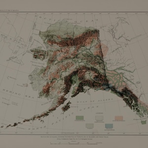 Alaska Forst- und Topographiekarte