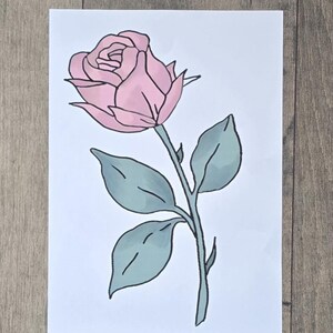 Diseño de póster de rosa rosa