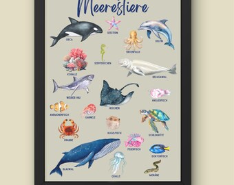 Poster Sea Animals Montessori Learning Poster Children&#39;s Room Wall Decoration Playroom Preschool Animals of the Sea DIGITAL DOWNLOAD