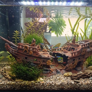 Può includere: Un ornamento per acquario a forma di relitto di nave marrone e usurato, caratterizzato da uno scafo diviso, venature del legno strutturate e dettagli simili al corallo. La struttura cava è circondata da piante acquatiche verdi e ghiaia.
