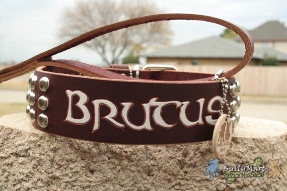 custom bully collars