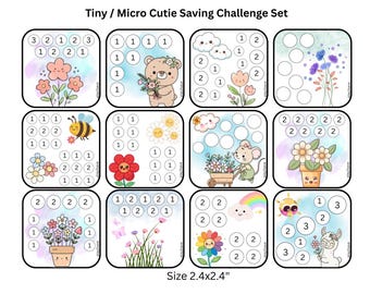 Tiny / Micro Saving Challenge Set / Budgeting