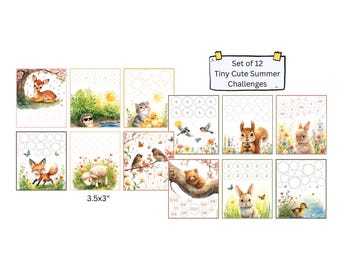 Summer Tiny Saving Challenge Set of 12 / Budgeting