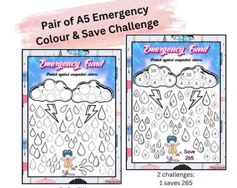 Pair of A5 Colour and Save Challenges / Budgeting / Emergency Fund