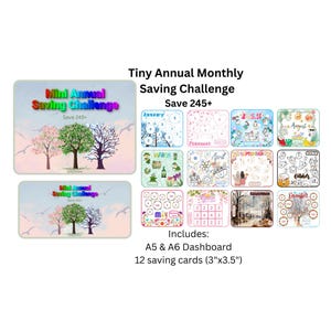 Könnte beinhalten: Ein Set mit Spar-Challenge-Karten mit farbenfrohem Design. Die Karten enthalten ein Dashboard und 12 monatliche Sparkarten, die jeweils 7,6 cm x 8,9 cm messen. Der Text "Tiny Annual Monthly Saving Challenge" und "Save 245+" sind angezeigt.