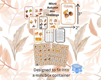 Low Budget Micro Box Saving Challenge