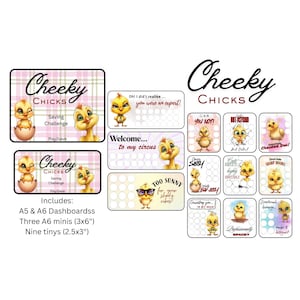 Puede incluir: Una colección de tableros y tarjetas de desafío de ahorro Cheeky Chicks con pollitos amarillos. El set incluye tableros A5 y A6, tres mini tarjetas A6 de 7,6x15,2 cm y nueve tarjetas pequeñas de 6,4x7,6 cm, con ilustraciones de pollitos y texto.