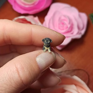 Miniatuurpuppy – 1 cm kleine hond voor poppen – Poppenhuisdier – Microdierbeeldje – Verzamelcadeau – Realistische minihond – miniatuurspeelgoed