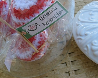 Set of 5- Peppermint Swirl Nylon Net Scrubbies