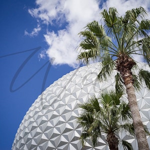 Epcot Palm Tree Photo – Disney Wall Art Download – Epcot Ball & Sky Printable – Florida Nature Art – Digital Instant File