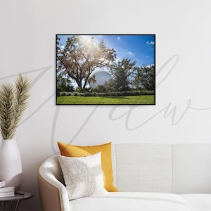 EPCOT Spaceship Earth Through Nature – Disney Landscape Digital Download | Printable EPCOT Wall Art | Disney Sunlight Photo