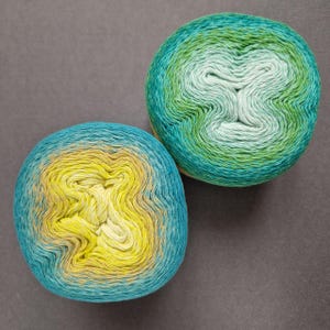 Scheepjes Wooly Whirl gradient yarn 1000m/220g