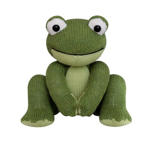 Frog Knit a Teddy image 1