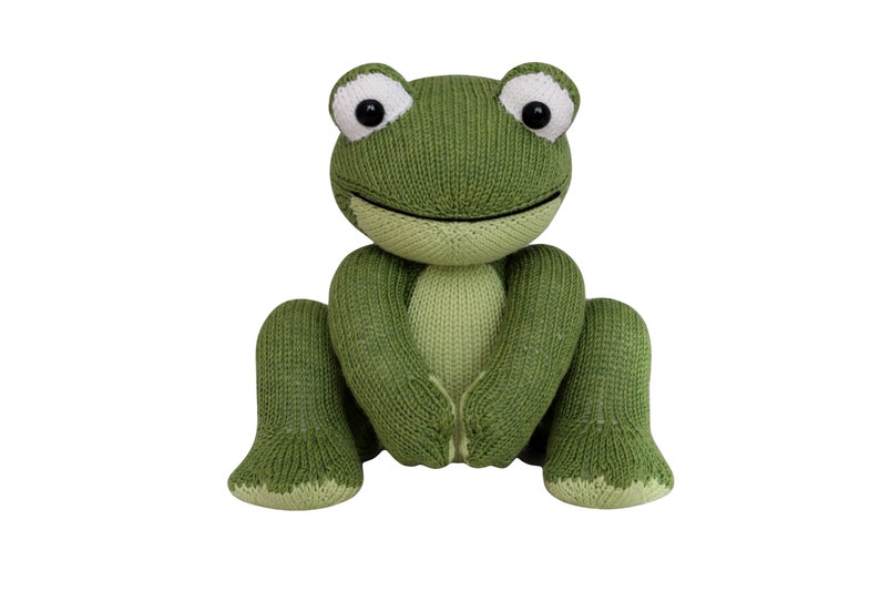 Frog Knit a Teddy image 1