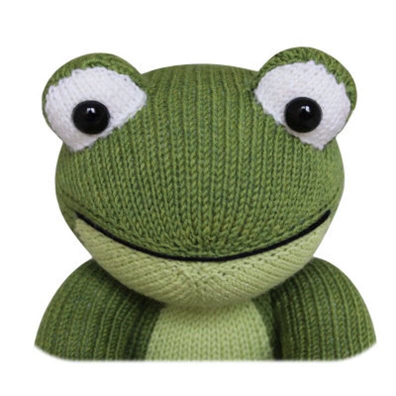 Frog Knit a Teddy image 3