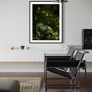 May include: A black framed photograph of white flowers blooming on a green bush. The background is blurred and out of focus.