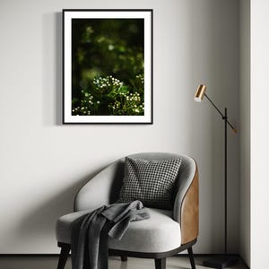 May include: A black framed photograph of white flowers blooming on a green bush. The photo is hanging on a white wall above a gray armchair with a black and white patterned pillow.