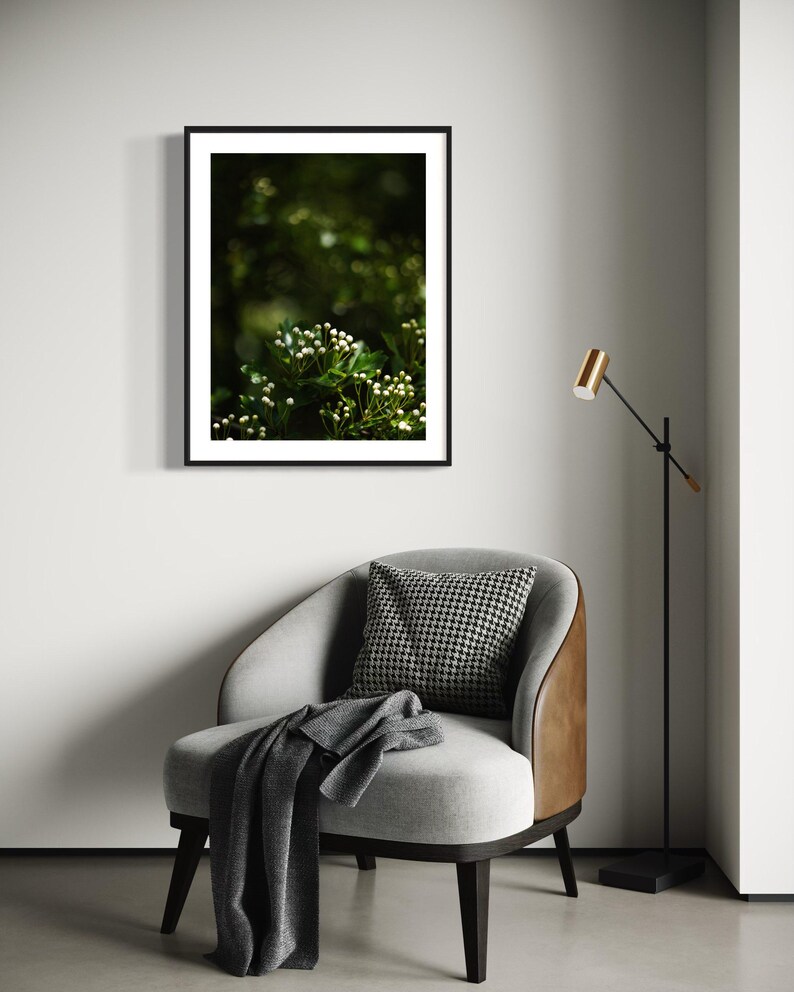 May include: A black framed photograph of white flowers blooming on a green bush. The photo is hanging on a white wall above a gray armchair with a black and white patterned pillow.