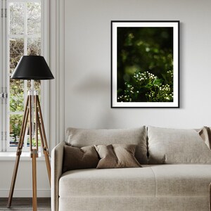 May include: A framed photograph of a close-up of white flowers with green leaves against a blurred green background.