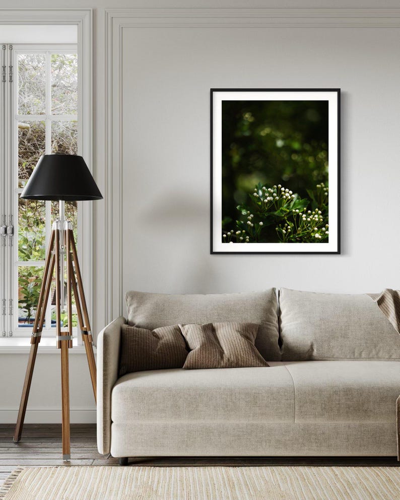 May include: A framed photograph of a close-up of white flowers with green leaves against a blurred green background.