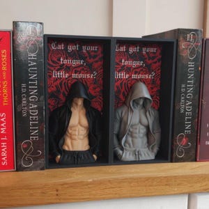 May include: Two rectangular black shadow boxes containing torso figurines wearing hooded jackets. One figurine is black, the other grey. The background inside each box features a red rose pattern and the text, Cat got your tongue, little mouse?