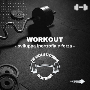 SCHEDA ALLENAMENTO WORKOUT gym - principianti e professionisti, trasformazione fisico, Forza, Definizione e Resistenza