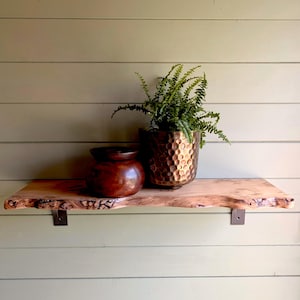 May include: A live edge wooden shelf mounted with two metal brackets. On the shelf sits a dark brown polished wooden bowl and a metallic bronze-toned planter with a hammered texture containing a green fern plant with many small leaves.