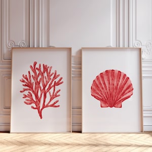 以下が含まれることがあります： サンゴと貝殻の水彩イラストが描かれた、額装された2つのアートプリント。サンゴのプリントは鮮やかな赤い枝分かれ構造を示し、貝殻のプリントは同じ赤色のファン型のデザインを示しています。どちらも木製のフレームに入っています。